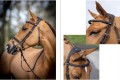 LeMieux Work Bridle